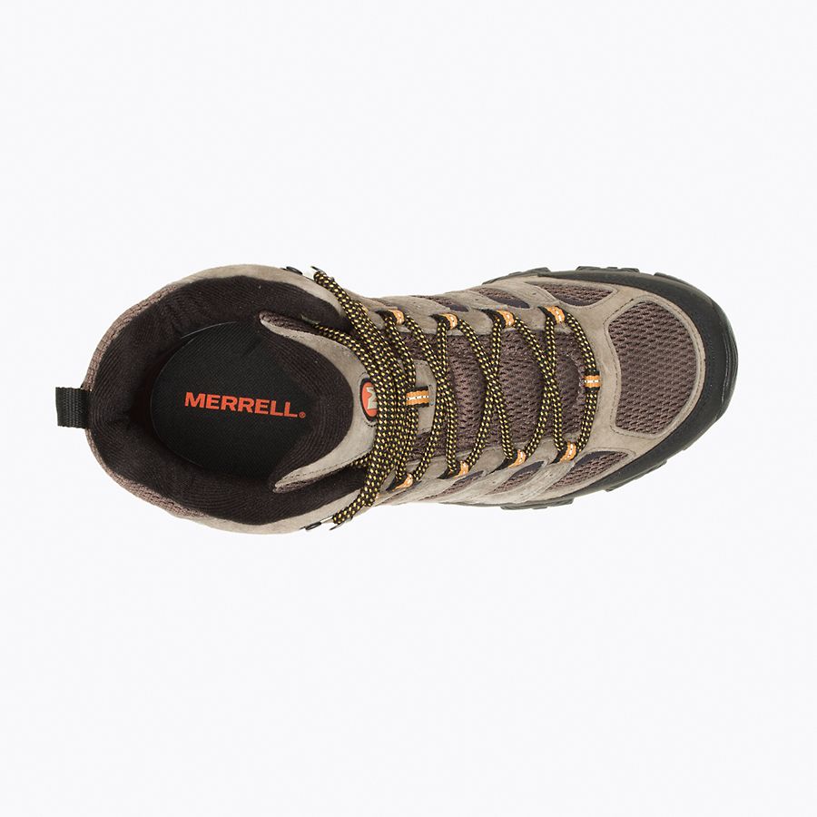 MOAB 3 MID WALNUT