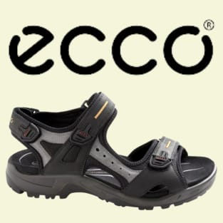 Ecco shoe logo at brandysshoes