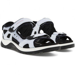 Yucatan Air Blue Ecco