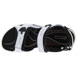 Yucatan Air Blue Ecco