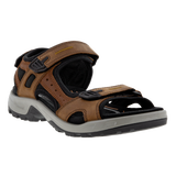 yucatan expresso /co ecco usa ins at brandysshoes.com