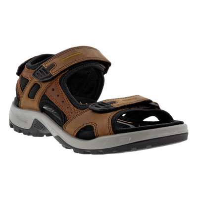 yucatan expresso /co ecco usa ins at brandysshoes.com